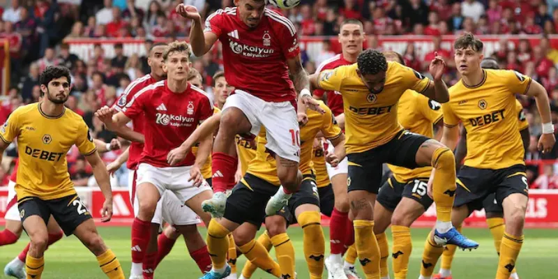 Dự báo tỷ số cho trận Wolverhampton Wanderers vs Nottingham Forest