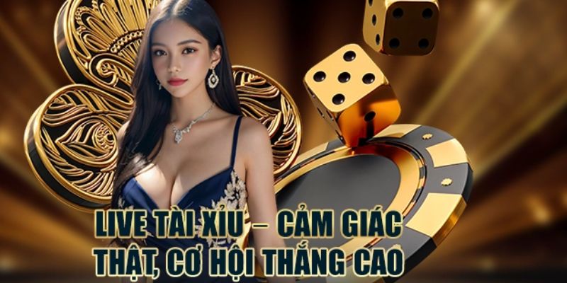 Hình thức live tài xỉu betvisa thu hút người chơi