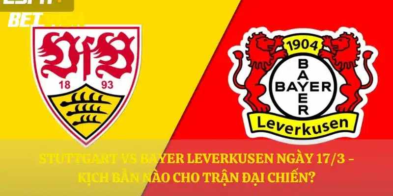 Stuttgart vs Bayer Leverkusen ngày 17/3 - Kịch bản nào cho trận đại chiến?